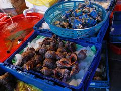 -芦潮港集贸市场