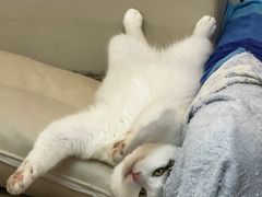 -宠颐生汉谟拉比宠物医院