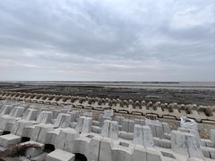 -南汇嘴观海公园