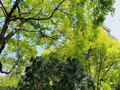 -斯坦星球AI编程·机器人科创·科学实验·信奥·思维·STEM·积木拼搭·竞赛考级(浦东联洋广场大拇指龙阳御桥中心)