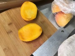 -蜜肆动物奶油蛋糕·个性定制·下午茶甜品