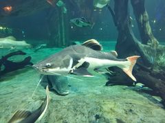 -华夏文旅海洋公园