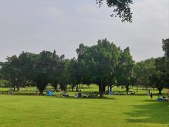 -东莞植物园
