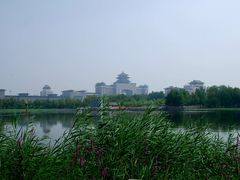 -莲花池公园