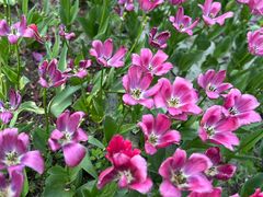 -朝阳公园游乐园