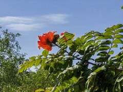 -深圳湾公园(南山区)