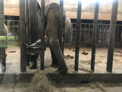 -石家庄市动物园