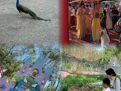 -水上乐园·欢乐世界