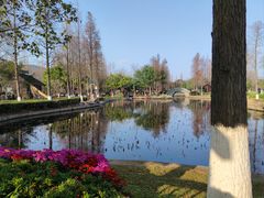 -河泥荡文化公园