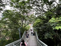 -佛山华盖山公园