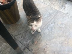 -大锅强·蒸海鲜青岛菜(吾悦广场店)