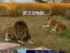 -武汉动物园