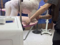 -FAELING PETS美天灵宠物(富力广场店)