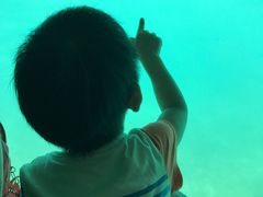 -亚龙湾海底世界