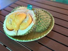 -榴莲BB 四季果园