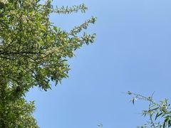 -清明上河园