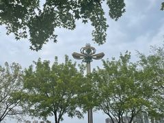 -眉山湿地公园(东坡区)