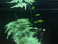 -31号公馆(黄兴广场白果园店)