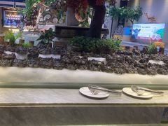 -川骄海鲜自助(河东店)