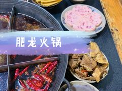 -肥龙火锅(南坪店)