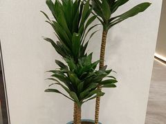 -W·24H茶楼·棋牌·掼蛋(望京店)