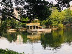 -晓港公园