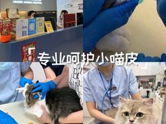-立德24H动物医院·夜诊·转诊中心·1.5T核磁共振(海珠店)
