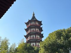-绳金塔