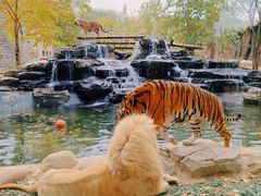 -北京野生动物园