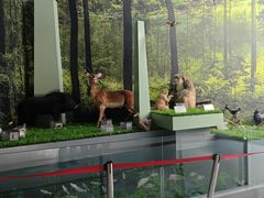 -房山世界地质公园博物馆