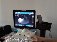 -pd派德宠物中心医院24H急重症·眼科中心·血液透析中心(嵩山北路店)