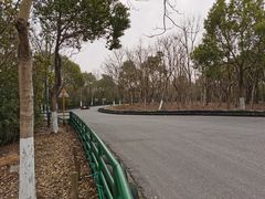 -上海海湾国家森林公园