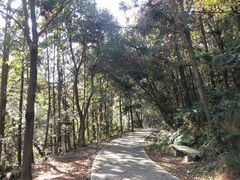 -青龙山国家森林公园
