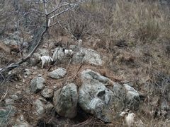 -大渡河峡谷国家地质公园