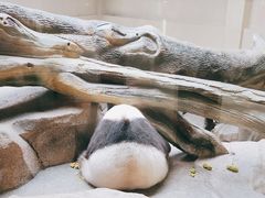 -宁波野生动物园