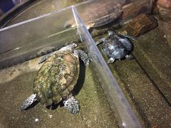 -青岛海底世界-水族馆