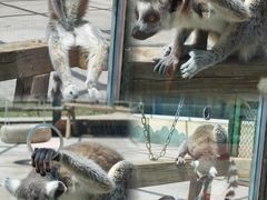 -水上乐园·欢乐世界