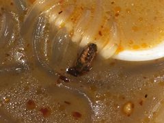 -东园小馆·早茶·淮扬小炒(三盛广场店)