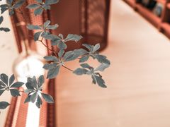 -二酉书店TOYOU BOOKS