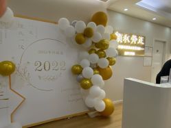 -颜和骨正·明哲式骨相美学整骨