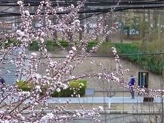 景点-元大都城垣遗址公园