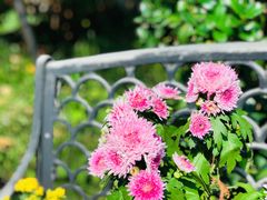 -漫渡庄绿岛花园•隐世庭园菜(滨湖店)