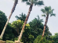 -太阳岛度假酒店