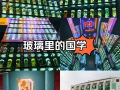 -广东中医药博物馆