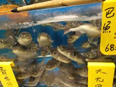 -飞尝蚝·顺德菜·鱼生(顺德总店)