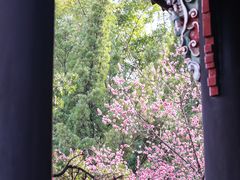 -望江楼公园