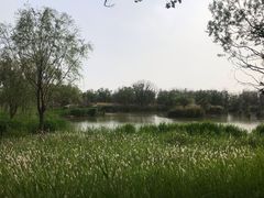 -处女泉风景名胜区