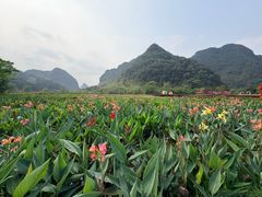 -靖西鹅泉风景区