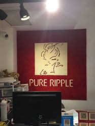 -净漪造型 PURE RIPPLE