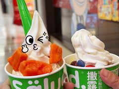 -Salud撒露欧洲冻酸奶(五道口购物中心店)
